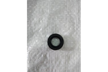 Мастер Данило 38 Сальник 12"20"7 бензопила 